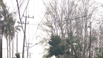 Pembangunan Drainase Jalan Raya Nongkosewu Poncokusumo (foto W2)